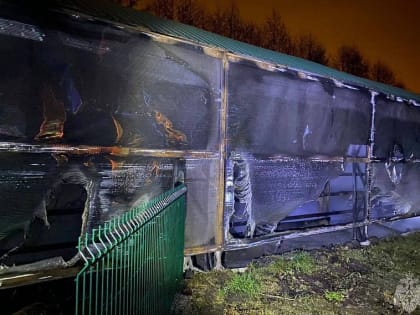 Шесть зебр погибли в старооскольском зоопарке в результате пожара