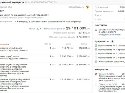 В Белгороде за работу на клумбах возле художественного музея и диорамы заплатят почти 30 миллионов рублей