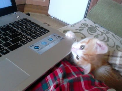 Топ-5 новостей в социальных сетях