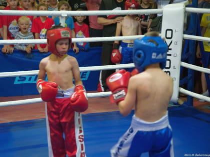 На «Субботнем ринге» в Белгороде в борьбу вступили 43 пары кикбоксёров