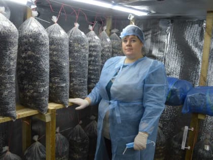 Марина Бойченко из Красной Яруги на средства соцконтракта начала заниматься выращиванием домашних грибов
