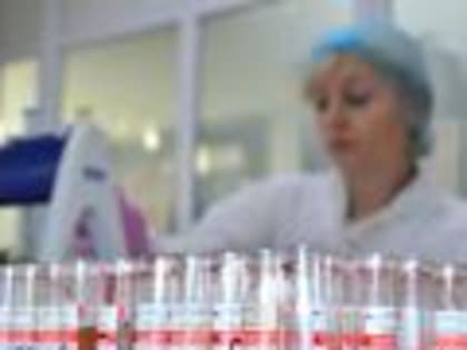 Новые инициативы по улучшению городской инфраструктуры