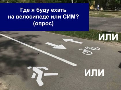 У белгородцев интересуются, нужны ли им отдельные велодорожки