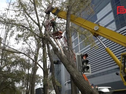 Городские службы продолжают наводить порядок в Белгороде после непогоды