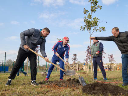 Белгородские энергетики провели осеннюю экоакцию