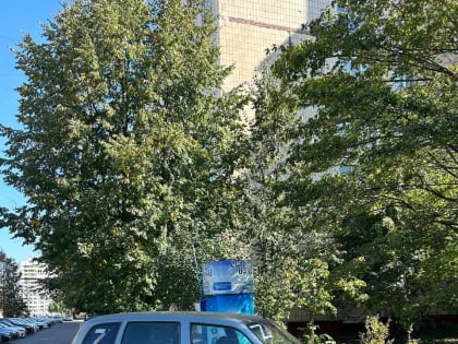 ​В Белгороде порезали колёса машины волонтёров фонда «Русский порядок»