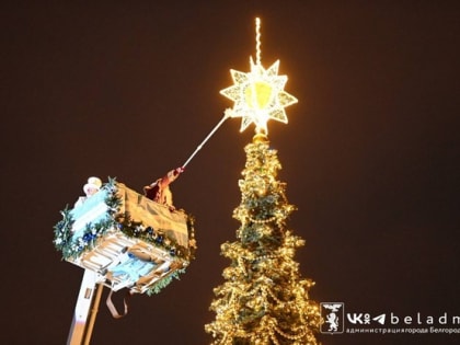 Дед Мороз зажёг огни на главной новогодней ёлке Белгородской области