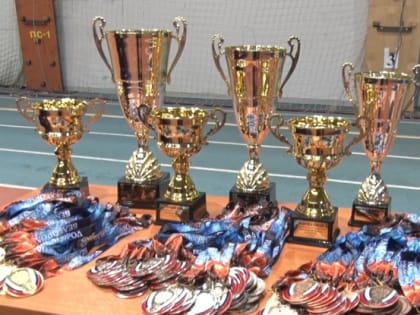 В Белгороде прошли чемпионат и первенство Белгородской области по тайскому боксу