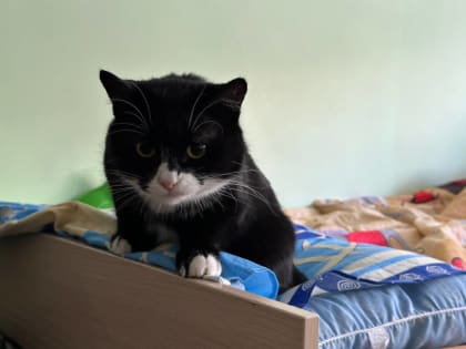 Медики «Поездов здоровья» проводят обследования жителей белгородских ПВР