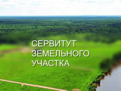 Установка публичного сервитута для электросетевого хозяйства в Белгородской области