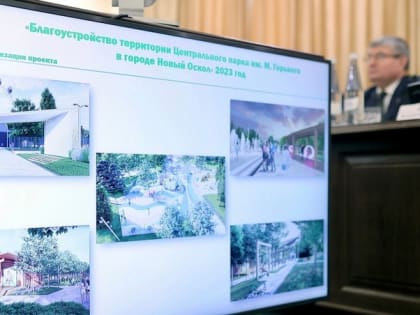 Вячеслав Гладков обсудил с главами проекты-победители по созданию комфортной городской среды