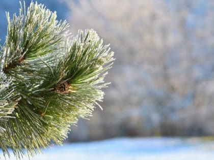 Температура воздуха опустится до 17 градусов мороза на территории Белгородской области 17 февраля
