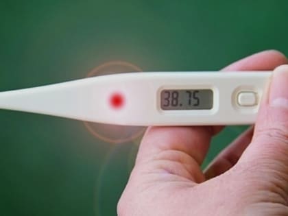 Число заболевших ОРВИ белгородцев увеличилось после каникул