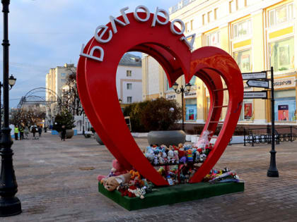 Вице-спикер Госдумы Анна Кузнецова дала старт в Белгородской области программе комплексной реабилитации детей