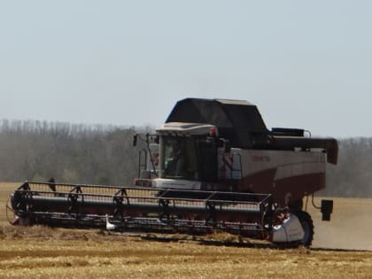Специалисты шебекинского СПК «Нива» закончили уборку ранних зерновых культур