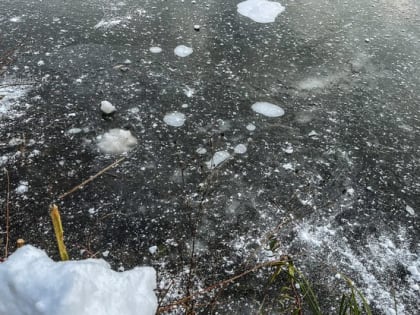 В Белгороде дети вновь вышли на неокрепший лёд