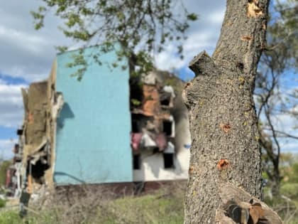 9,5 тысяч пострадавших от обстрелов белгородцев получили по 10 тысяч рублей