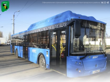 В новогодние праздники общественный транспорт Белгородской агломерации будет работать по особому графику