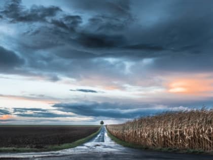 Белгородские синоптики спрогнозировали переменную облачность на территории региона 11 апреля