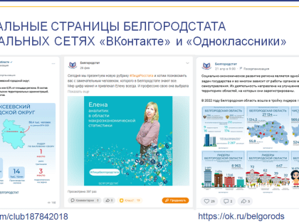 25 апреля Ассоциация провела семинар совместно с Территориальным органом Федеральной службы государственной статистики по Белгородской области