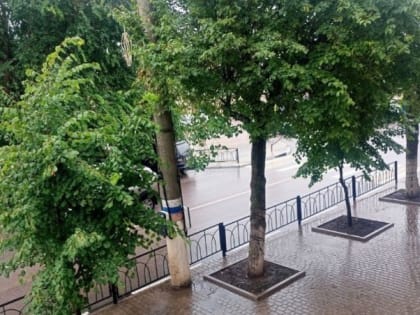 Второй месяц лета начнётся с дождей и гроз в Белгородской области