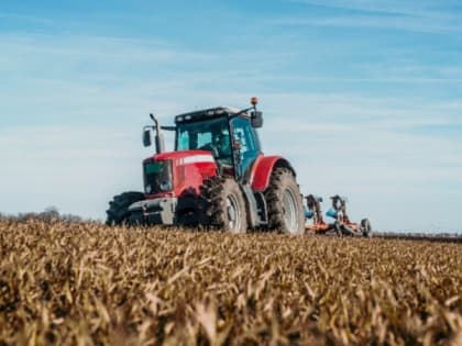 Белгородские аграрии заявили о самой высокой урожайности пшеницы за последние восемь лет