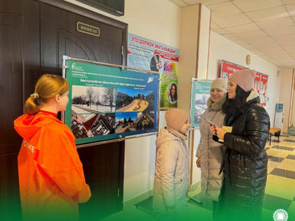 В Алексеевском городском округе  стартовало рейтинговое голосование по выбору дизайн проекта общественной территории, которая будет благоустроена в рамках программы «Формирование к