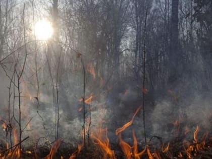 Спасатели напомнили губкинцам правила пожарной безопасности при жаркой погоде