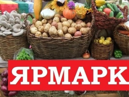 Уважаемые жители Алексеевского муниципального округа!