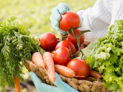 Аграрии собрали за год более 53 тысяч тонн плодово-ягодной продукции в Белгородской области