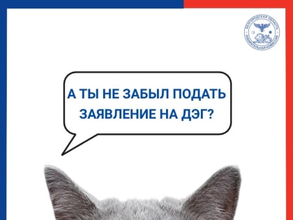В облизбиркоме назвали, сколько белгородцев проголосуют дистанционно на выборах президента
