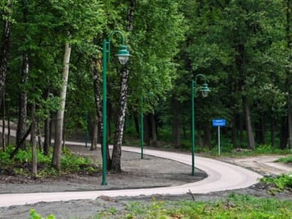 Когда завершится устройство дорожек для бега в урочище Сосновка