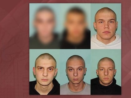 Минимум пять жителей Белгородской области пострадали от действий преступной группировки подростков