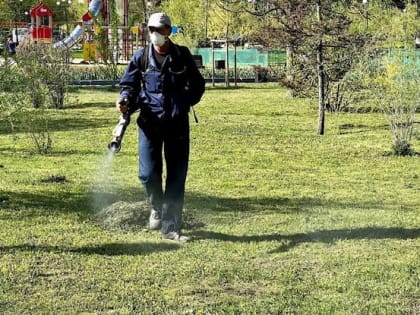 Сегодня в Белгороде проводят акарицидную обработку пляжей