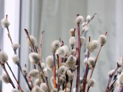 Ассоциация «Совет муниципальных образований Белгородской области» поздравляет с Вербным воскресеньем!