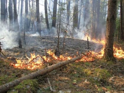 Спасатели сообщили губкинцам об изменениях в правилах противопожарного режима