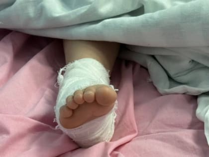 Госпитализация в Белгороде: 11 человек в стационарах