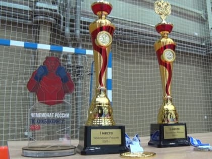 Белгородец Владислав Кржеменевский взял золото на чемпионате России по кикбоксингу