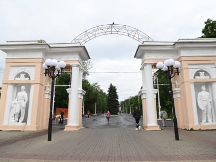 В Центральном парке Белгорода посадят 381 дерево и 19 тысяч кустарников