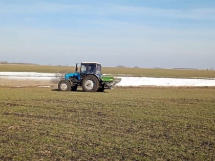 Ракитянские аграрии начали подкормку озимых культур и многолетних трав