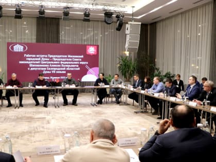 Председатель Совета Законодателей ЦФО Алексей Шапошников провёл рабочую встречу с депутатами Белгородской областной Думы