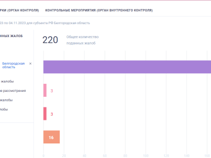 В мэрии объяснили госзакупку фотозоны «Белгород в цвету» с «месячной просрочкой»