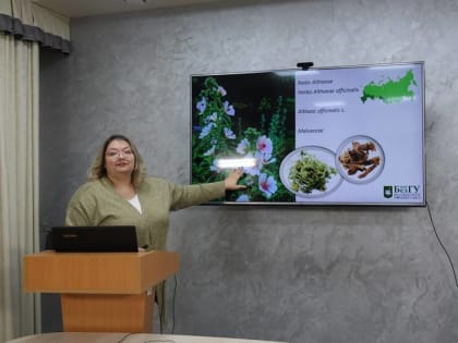 Учёный НИУ «БелГУ» рассказала о роли фитотерапии при лечении простудных заболеваний