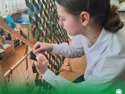 Движение #МЫВМЕСТЕ продолжает работу по оказанию помощи военнослужащим