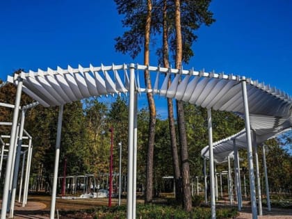 Необычные события в городе