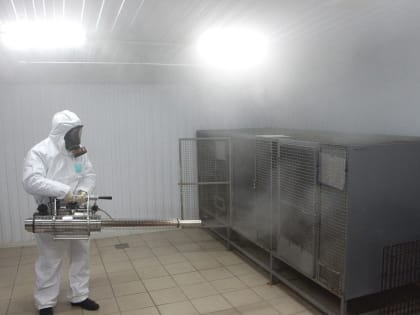 В Старом Осколе объявили карантин из-за чумы плотоядных животных