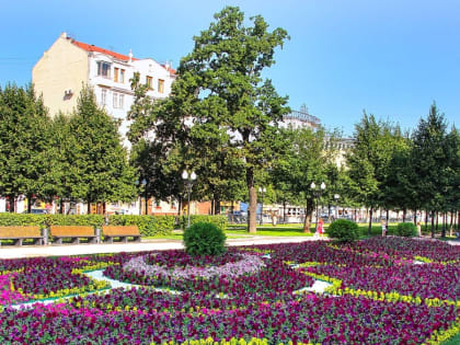 В столице Белгородчины озеленят порядка 3,5 тысячи квадратных метров