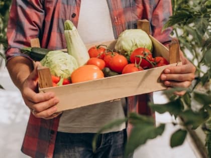 Белгородская область в тройке лидеров по производству органической продукции