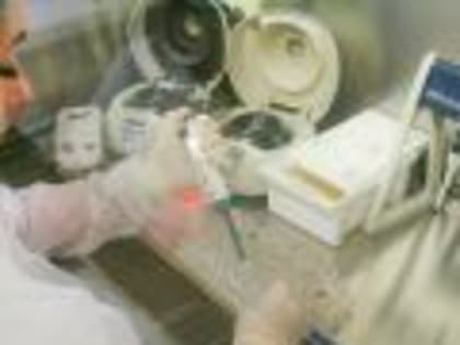 Почти 350 проб для исследования на грипп птиц поступило в Белгородскую испытательную лабораторию с начала года