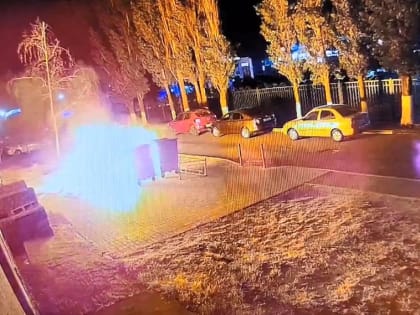 Пироманы атакуют: поджоги в Солнечном